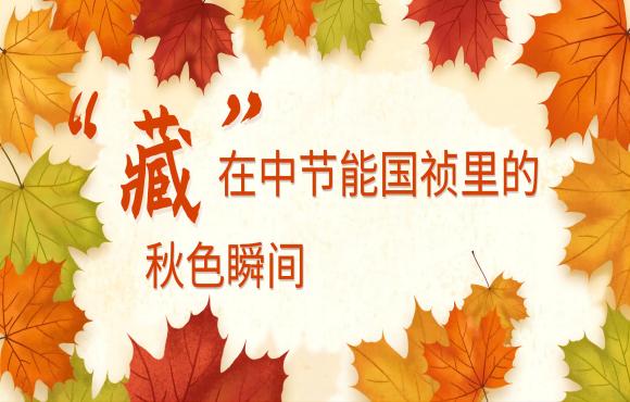 四时国祯丨“藏”在pg麻将胡了里的秋色瞬间