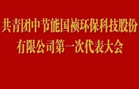 共青团pg麻将胡了第一次代表大会成功召开